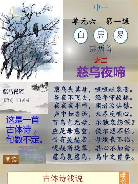 慈烏夜啼有幾組對句|《慈乌夜啼》原文及翻译赏析